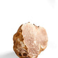La Rustichella - White Truffle Pate - Small (90 g, 3.2 oz) - Kosher, Gluten Free