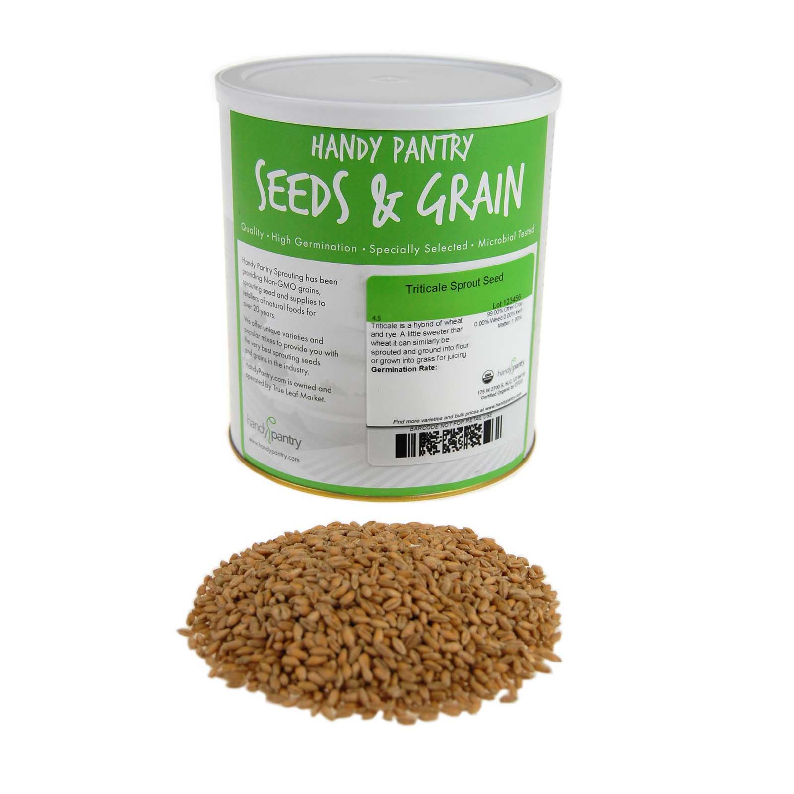 Organic Triticale Seeds- 4.5 Lbs- Triticale Grain Seed: Sprouting Sprouts, Cooking, Grind Flour, Food Storage & More