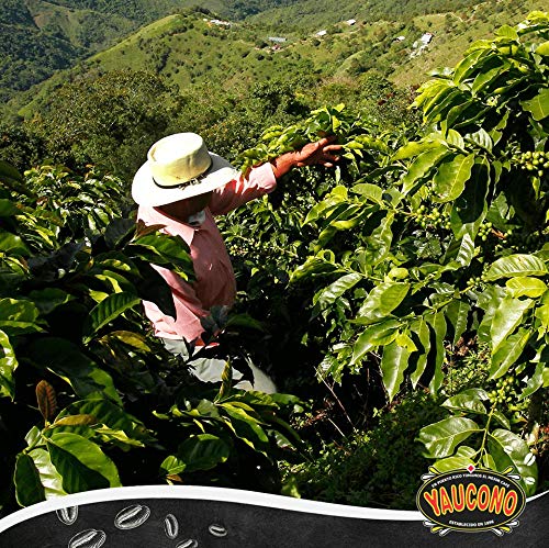 Yaucono Dark Roast Ground Coffee, Puerto Rico, 100% Arabica, 10 Ounce