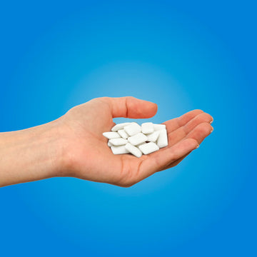 Pur Gum | Aspartame Free Chewing Gum | 100% Xylitol | Natural Peppermint Flavored Gum, 9 Pieces (Pack Of 12)