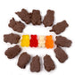 Sweetgourmet Milk Chocolate Covered Gummy Bears | Cherry, Orange, Pineapple, Strawberry/Banana | 1 Pound