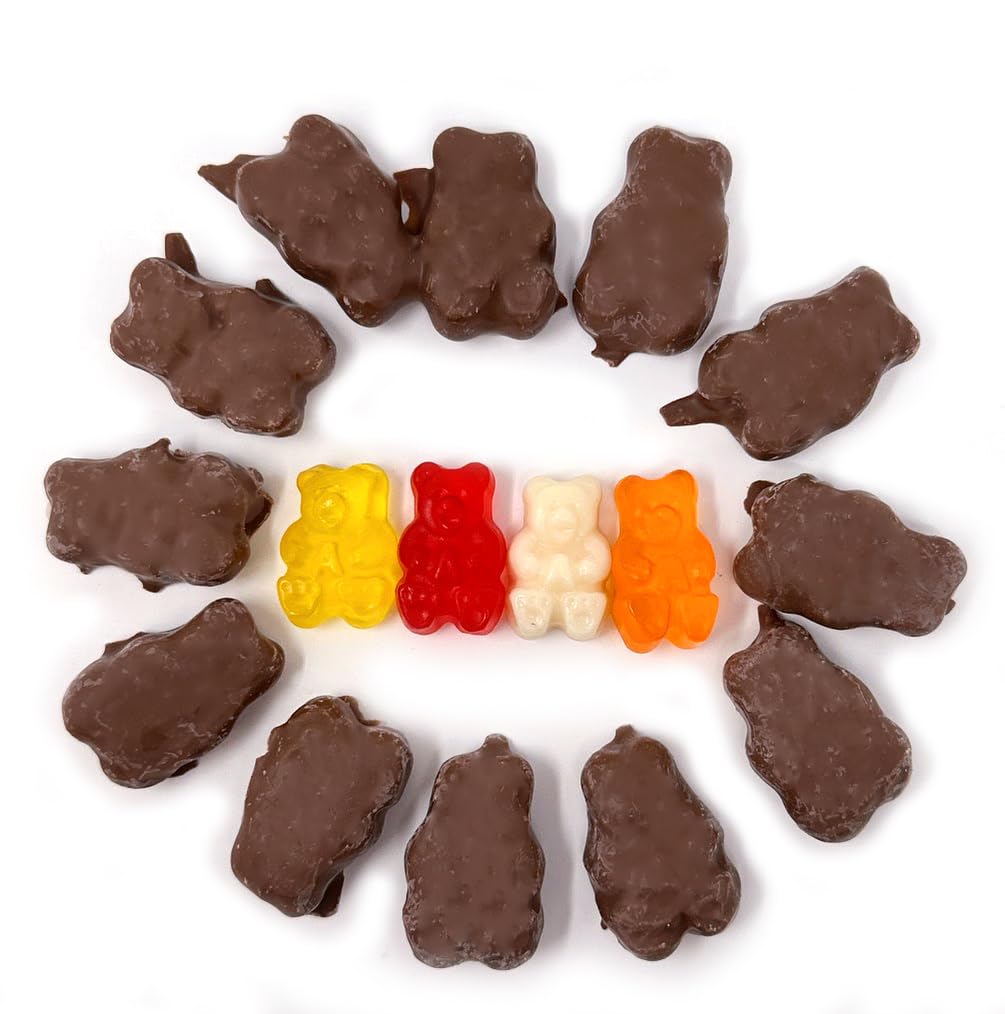 Sweetgourmet Milk Chocolate Covered Gummy Bears | Cherry, Orange, Pineapple, Strawberry/Banana | 1 Pound