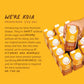 Koia Plant Based Protein Shake, Chocolate Banana, 20g Protein, 5g Sugar, 6g Prebiotic Fiber, 21 Vitamins & Minerals, Meal Replac
