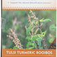Organic India Tulsi Infusion Tea: Turmeric Rooibos, 18 Ct
