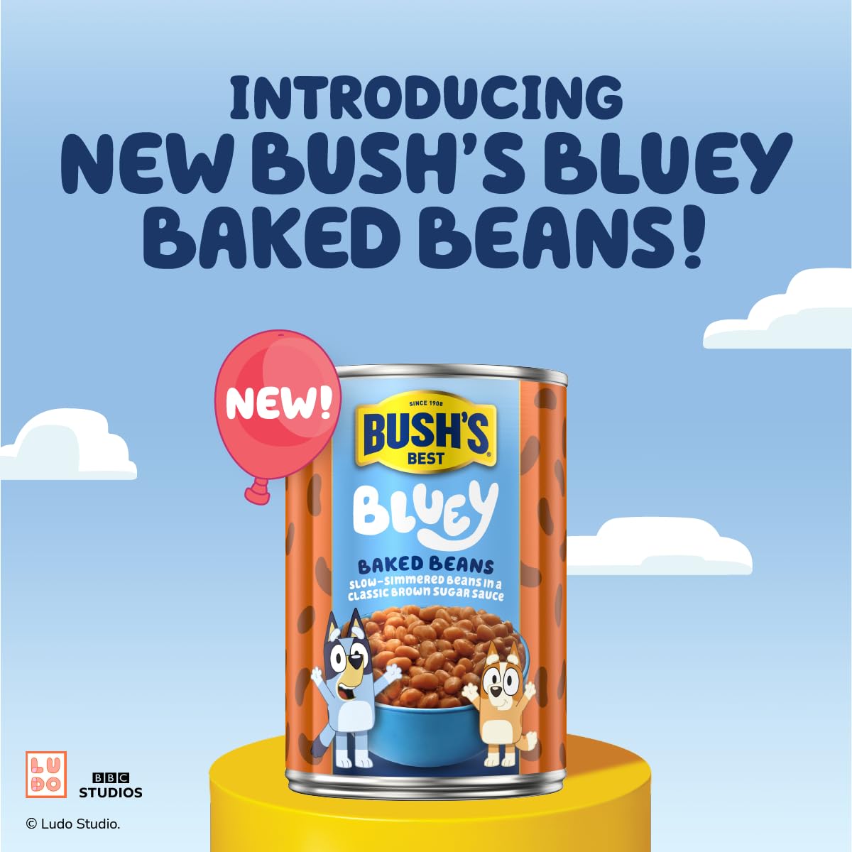 BUSH S BEST 15.8 oz Canned Bluey Original Baked Beans, Source of Plant Based Protein and Fiber, Low Fat, Gluten Free, (Bluey),