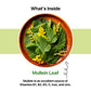 BLUE TEA Mullein Tea Bags - Herbal, Caffeine Free, Vegan - 30 Count Pyramid Bags