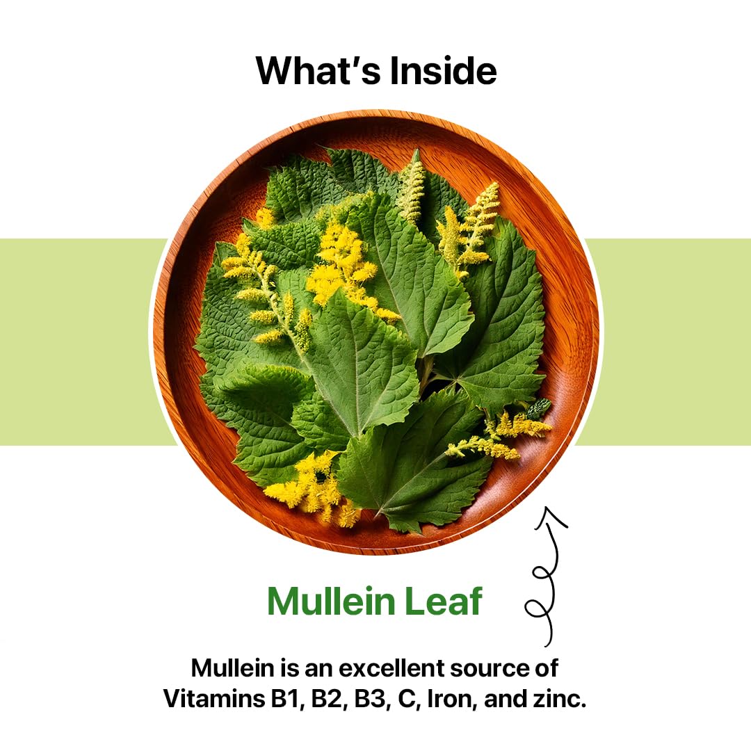 BLUE TEA Mullein Tea Bags - Herbal, Caffeine Free, Vegan - 30 Count Pyramid Bags