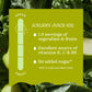 Suja Cold Pressed Celery Juice, 12 Fluid Ounce - 6 per case.