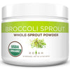 Koyah - Organic Broccoli Sprout Powder (1 Scoop  14 Cup Sprouts): 36 Servings, Freeze-Dried, Tested For Active Myrosinase And Gl