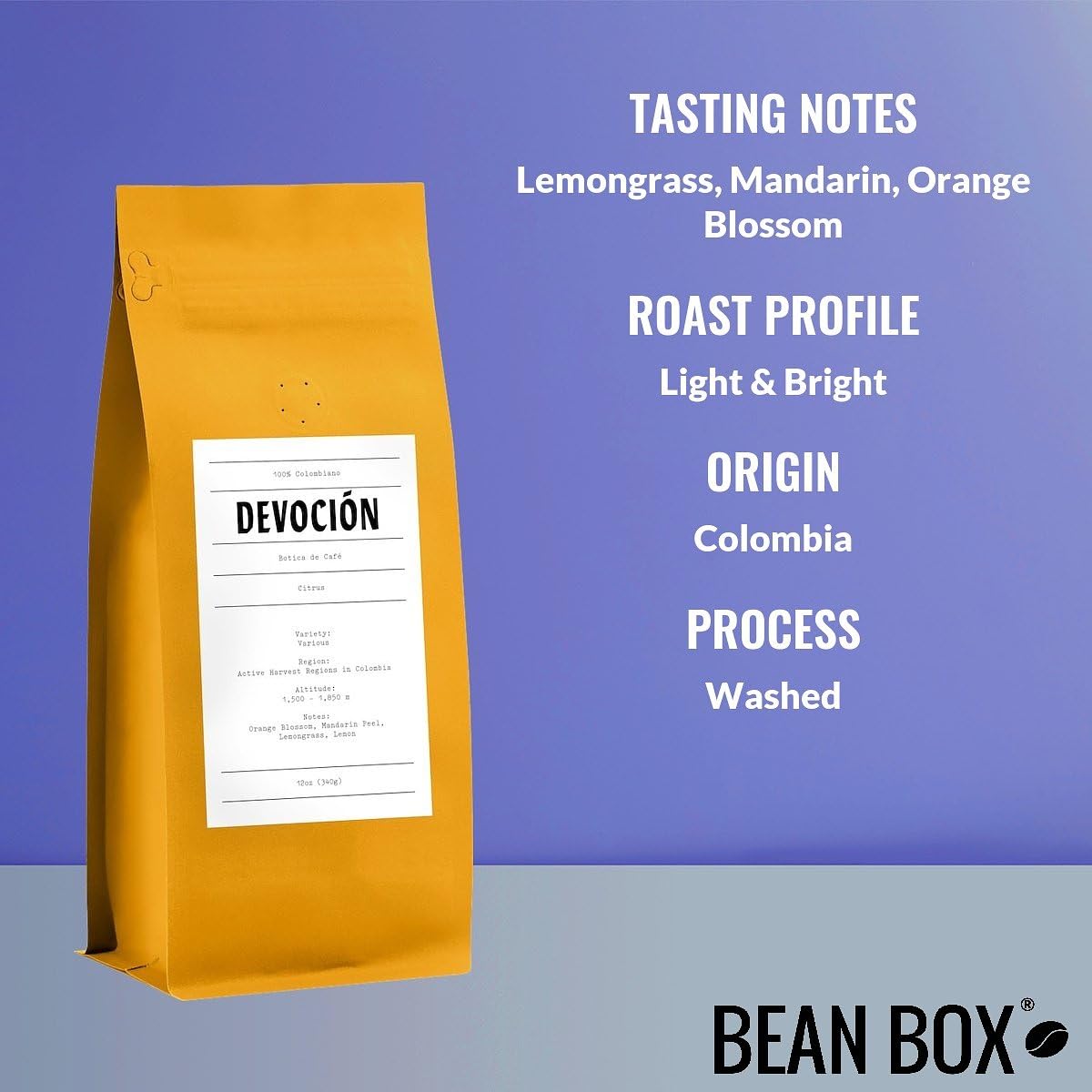 Citrus - Roasted By Devocion - Whole Bean Coffee - 12 Ounce Bag