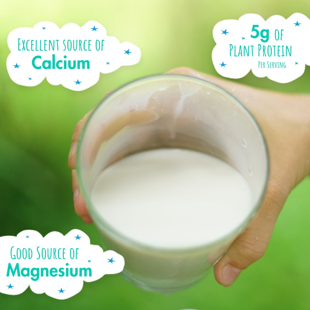 Kiki Milk Plant Based Milk - Organic Unsweetened Kiki Milk - Calcium & Magnesium Source - Gluten Free, Gum Free, GMO Free, Dairy