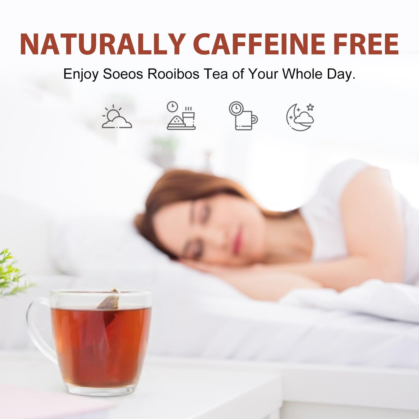 Soeos Organic Rooibos Tea  100 Teabags  Naturally Caffeine Free  USDA and Non GMO Certify  Smooth and Robust Flavor  Excellent for Hot or Iced Brew  9oz (250g)