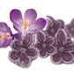 Andy Anand Sugar Free Candy Violets 50Pc - Typical Old Fashioned Hard Candy Dragee - Flower Shaped Five Petals Stevia Candy - Ze