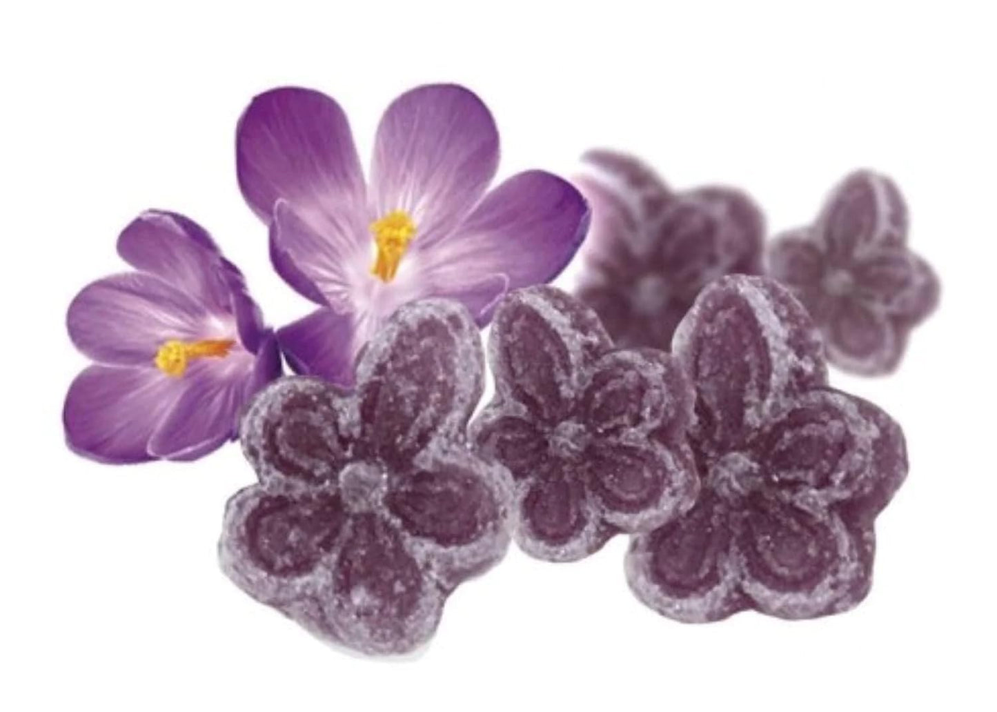 Andy Anand Sugar Free Candy Violets 50Pc - Typical Old Fashioned Hard Candy Dragee - Flower Shaped Five Petals Stevia Candy - Ze