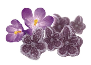Andy Anand Sugar Free Candy Violets 50Pc - Typical Old Fashioned Hard Candy Dragee - Flower Shaped Five Petals Stevia Candy - Ze