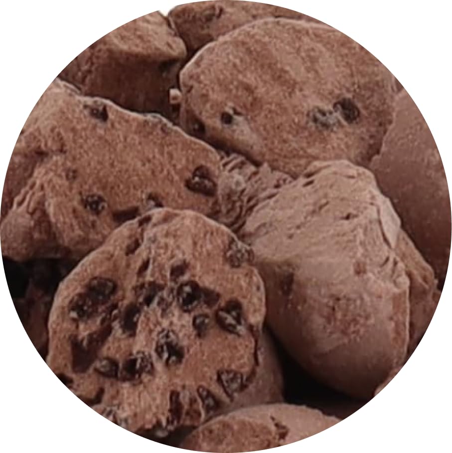 Arctic Farms Freeze Dried Ice Cream That Does Not Melt (Chocolate Chocolate Chip, 1 Ounce)