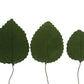 Global Sugar Art Hydrangea Leaves Sugar Cake Flowers Green Mix Of Large Medium And Small, 15 Count By Chef Alan Tetreault