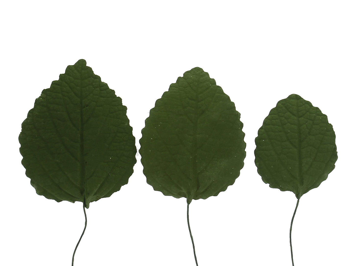 Global Sugar Art Hydrangea Leaves Sugar Cake Flowers Green Mix Of Large Medium And Small, 15 Count By Chef Alan Tetreault