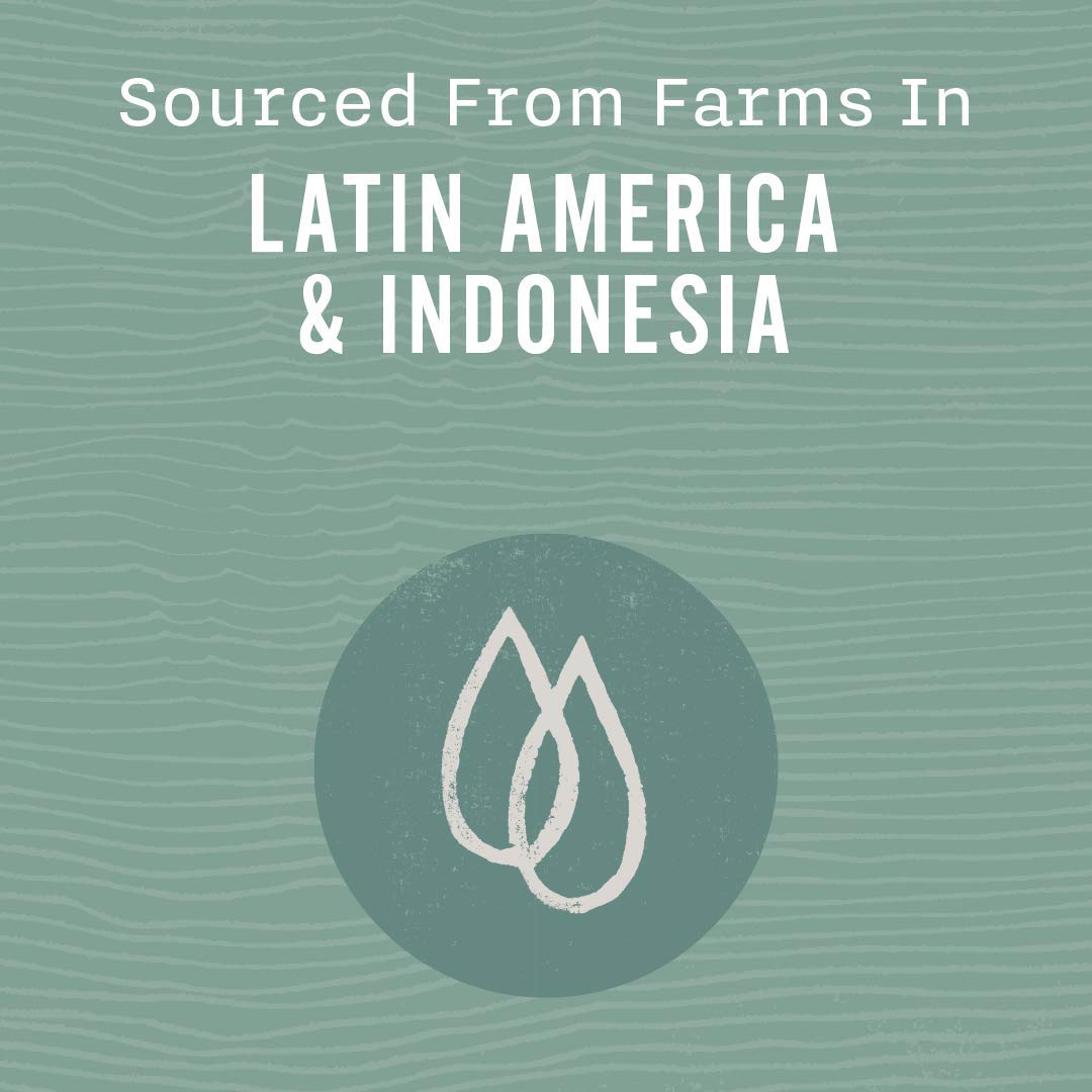 Allegro Coffee Organic Espresso Sierra Ground Coffee, 12 Oz