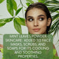 100% Natural Mint Leaves Powder for Skin and Health Care 227 GMS / 0.5 LBS