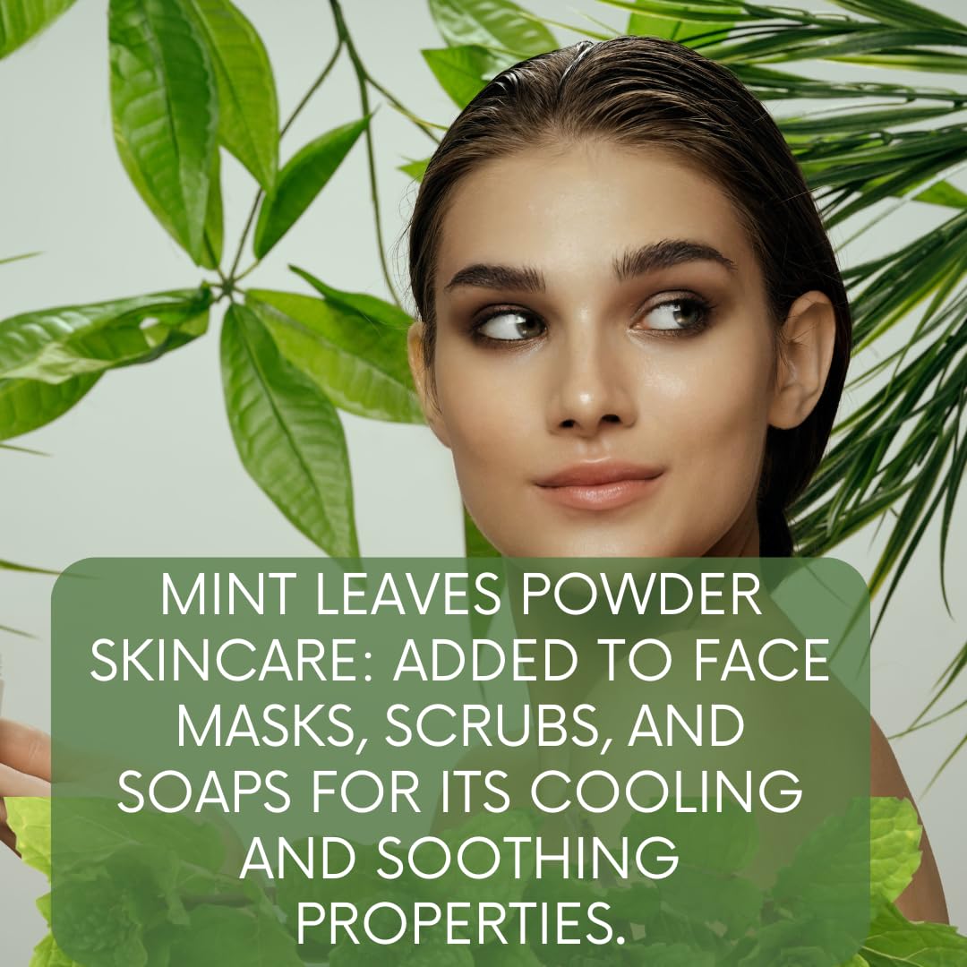 100% Natural Mint Leaves Powder for Skin and Health Care 227 GMS / 0.5 LBS