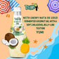 Pocas Coconut Milk Drink with Nata De Coco, Pineapple Flavor, 9.8 Fl Oz (Pack of 4)