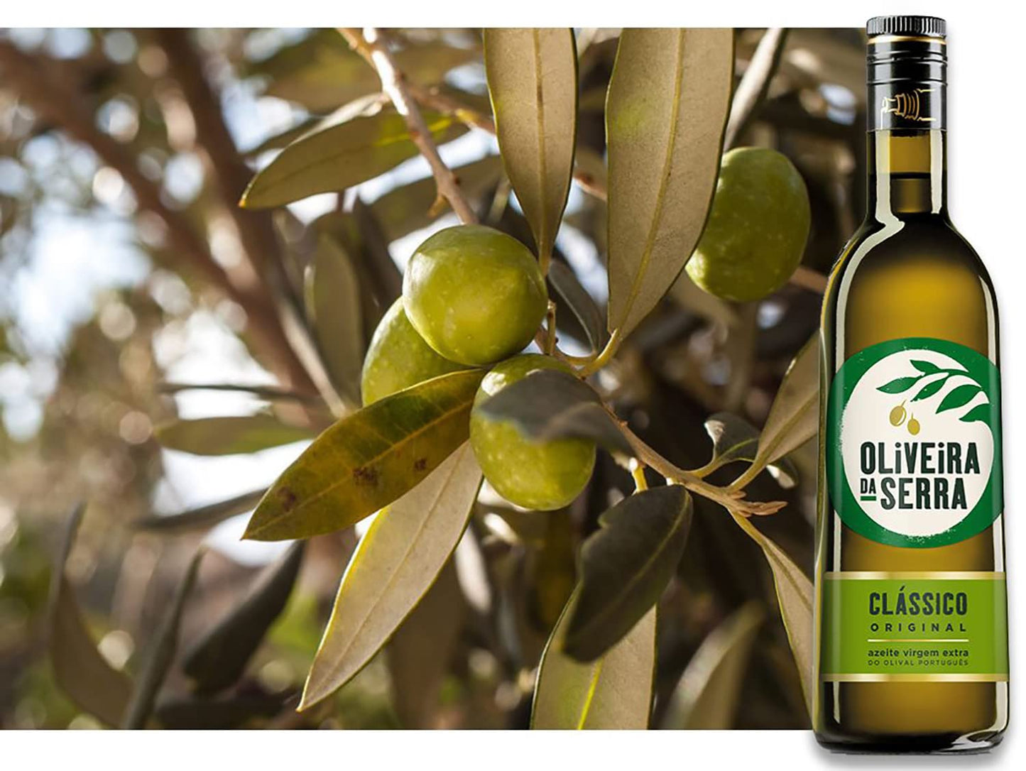 Oliveira Da Serra Classico Extra Virgin Olive Oil (1 Item Per Order)