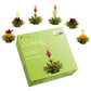Creano Blooming Tea Flowers Set - 6 Fruity Flavoured Green Tea Roses - Model 049