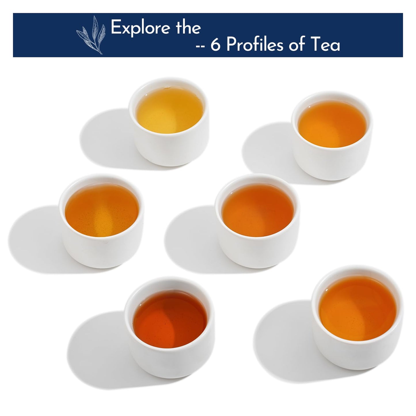 Rinatea Tea Gift Set - West Mt. Tea S-Tea Bag Sampler Variety Pack - Includes 6 Rich Flavors, 30 Tea Bags - Natural Loose Leaf Tea Sampler Gift Box For Tea Lovers