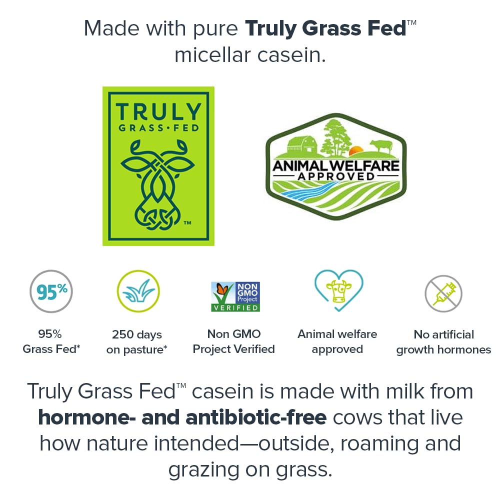 LEGION Casein+ Casein Protein Powder (Salted Caramel) - Slow-Release Micellar Casein Protein Powder - Non-GMO  Gluten-Free & Naturally Sweetened Casein Powder from Grass-Fed Cows