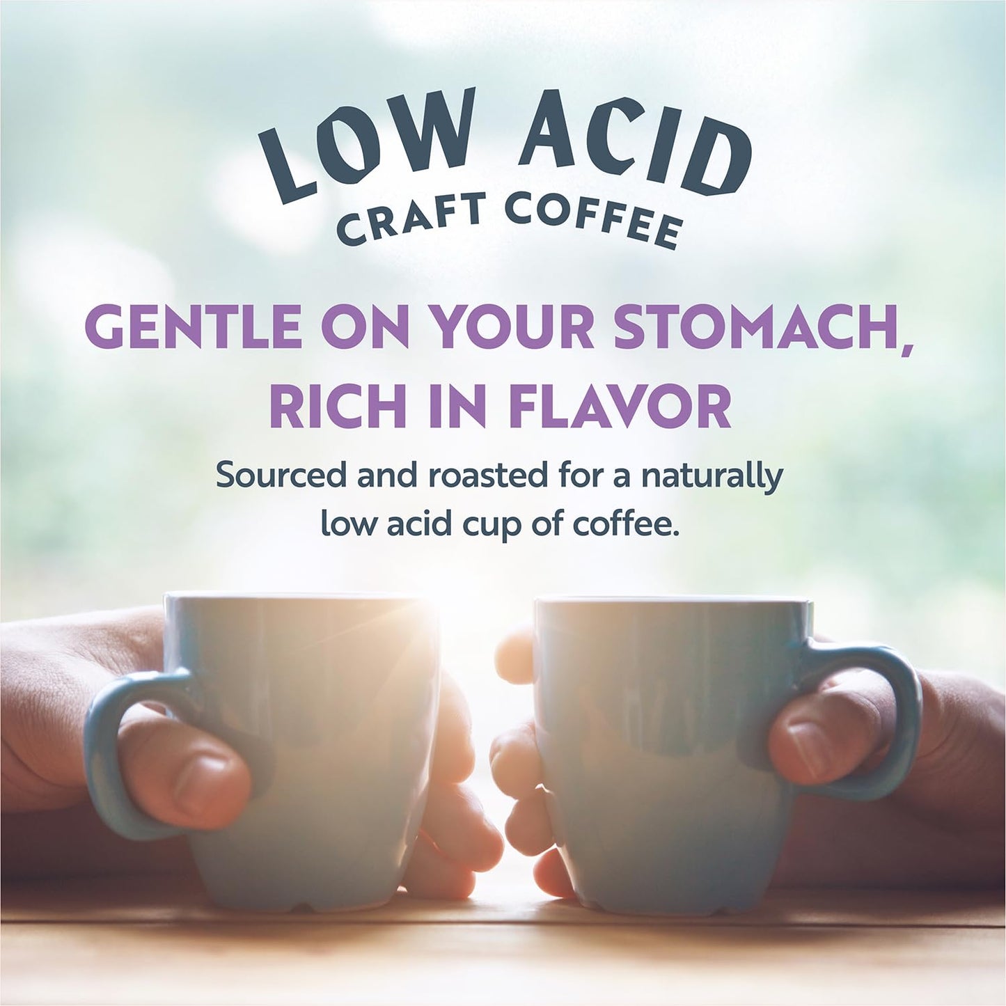CLEAN COFFEE CO Low Acid Medium Roast Whole Bean Coffee, Costa Rica Blend, 12 oz Bag