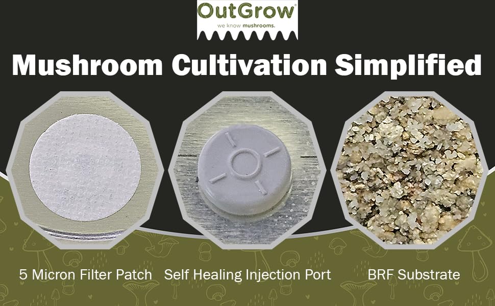Out-Grow BRF Jars Mushroom Substrate, 12 Pack, Brown Rice, Glass Jar, Brown/Grey