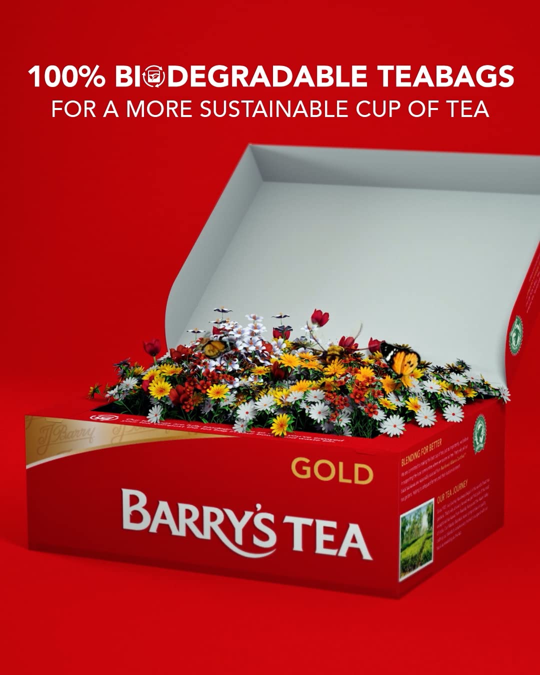 Barrys Tea Gold Blend 80 count Tea Bags (Pack of 1)