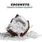 Roasted Coconut Crackers - Vegan Snack & Gluten Free Cracker Made with 100% Real Coconut - Organic, Dairy Free, Non-GMO, Lightly