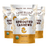 Lark Ellen Farm Sprouted Salted Cashews - Non GMO, Healthy Keto Snacks, Paleo, Gluten Free, Vegan, Certified Organic Nut, Sugar 