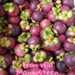 Premium Whole Freeze Dried Tropical Fruits,100% Fruits, Natural 70G (2.5 Oz), Nothing Else Added. (Mangosteen)