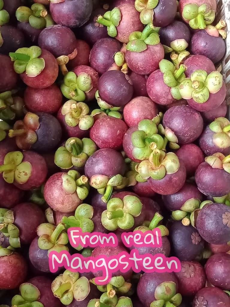 Premium Whole Freeze Dried Tropical Fruits,100% Fruits, Natural 70G (2.5 Oz), Nothing Else Added. (Mangosteen)