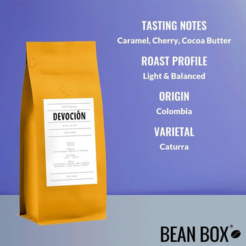 Wild Forest - Roasted By Devocion - Whole Bean Coffee - 12 Ounce Bag