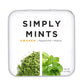 Simply Gum Breath Mints | Awaken Flavor with Caffeine & Matcha | Pack of 6 | 180 Total Pieces | Aspartame-Free | Green