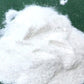 Sanniti Alum Powder, Premium Quality, 32 Ounce, Model SUVELAM