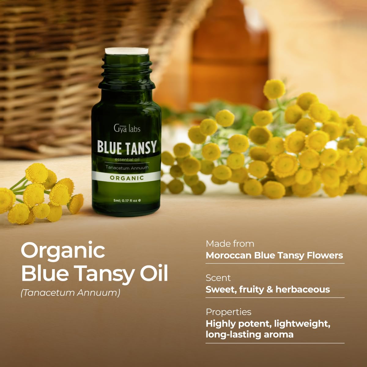 Gya Labs Organic Blue Tansy Essential Oils For Skin - 100% Pure Therapeutic Grade Blue Tansy Oil For Diffuser, Relaxation & Slee