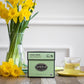 Smith Teamaker | Spring Greens No. 8 | Organic Mao Feng | Caffeinated Full Leaf Green Tea | Sugar-Free, Non-Gmo, Plant Based (15