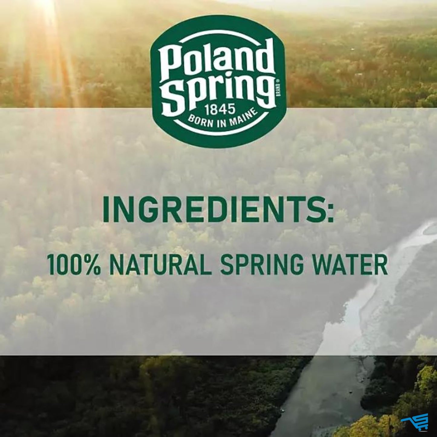 Poland Spring Water, 16.9 Fl Oz., 40 Pack
