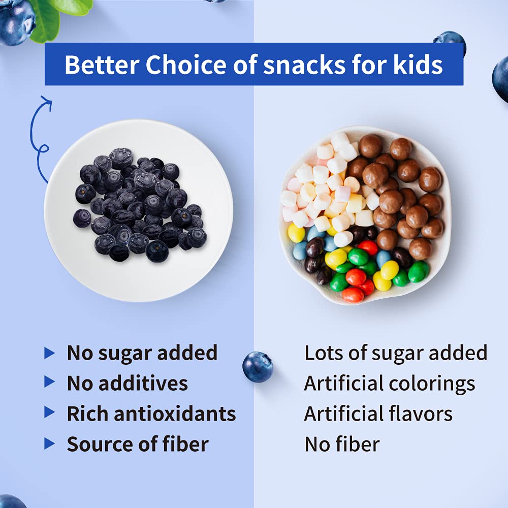 Frenature Freeze Dried Blueberry, Canada Top Grade Dried Blueberries No Sugar Added, 100% Natural Freeze Dried Fruit, Healthy Sn