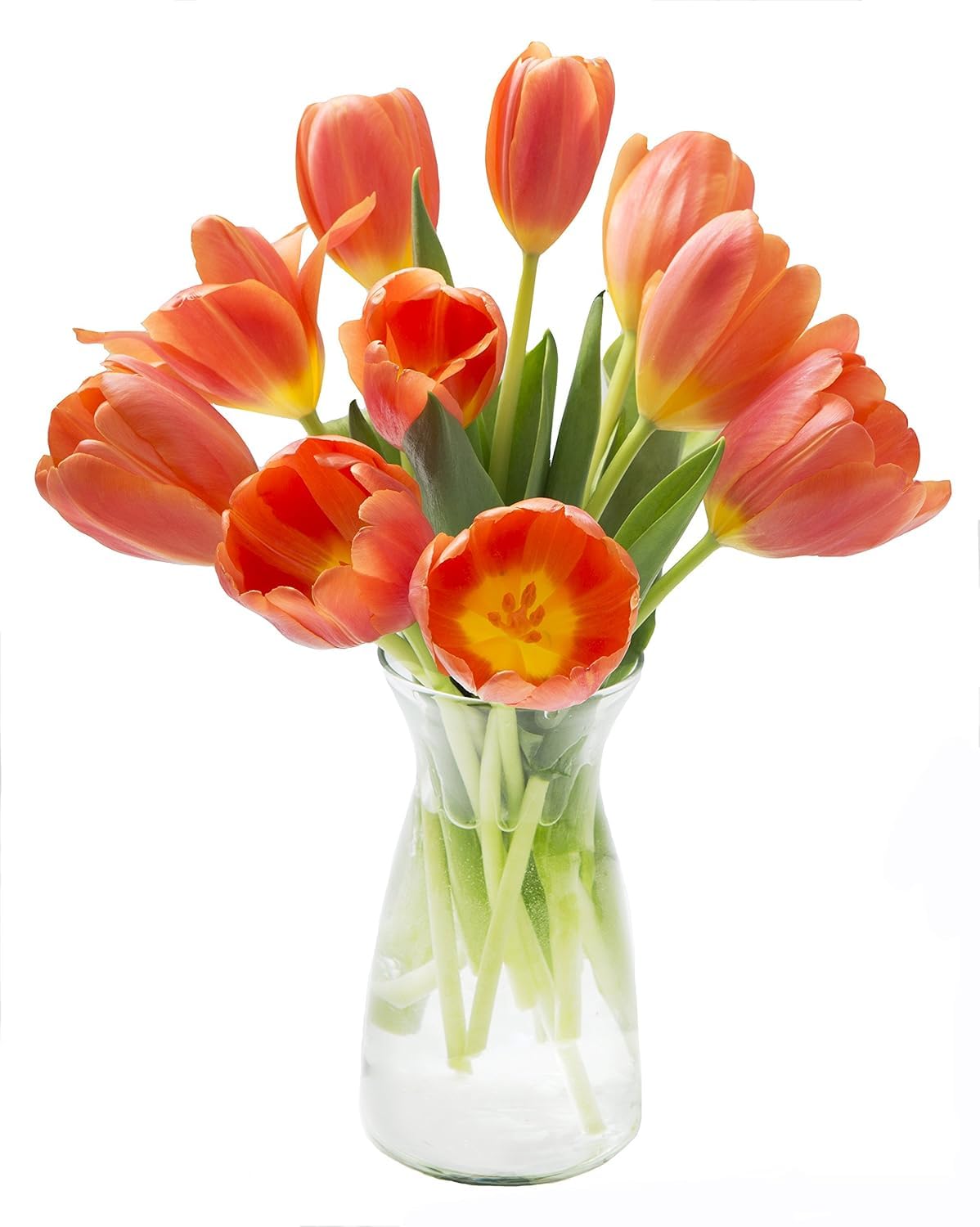 KaBloom Flowers -Valentine's Day Collection - 10 Orange Tulips with vase, Gift for Birthday, Sympathy, Anniversary, Get Well, Th