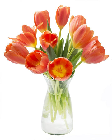 KaBloom Flowers -Valentine's Day Collection - 10 Orange Tulips with vase, Gift for Birthday, Sympathy, Anniversary, Get Well, Th