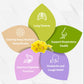 Tempoak 60 Mullein Leaf Tea Bags - 100% Pure, Caffeine Free, Non-GMO, No Additives, No Sugar