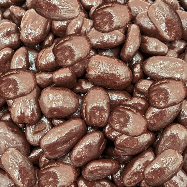 Sugar Free Milk Chocolate Covered Pecans, 1-Pound Pack