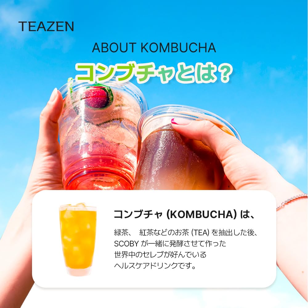 Teazen Kombucha Tea Tropical Zest Hydration Variety Pack - 20 Sticks, 5 Flavor (Lemon, Pineapple, Korean Plum, Shine Muscat, Gre