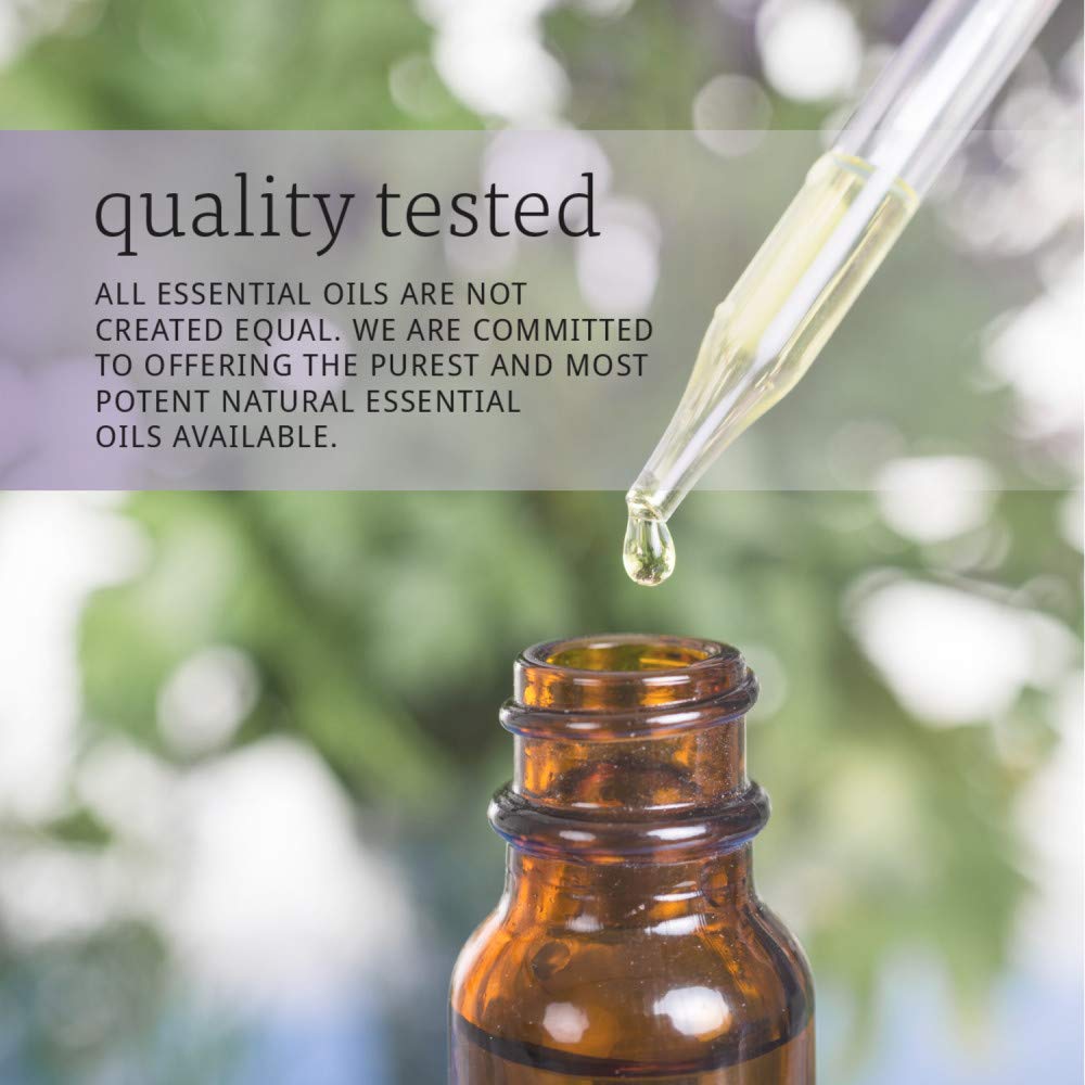 Now Essential Oils, Rose Absolute, 5% Blend Of Pure Rose Absolute Oil In Pure Jojoba Oil, Romantic Aromatherapy Scent, Vegan, Child Resistant Cap, 1-Ounce